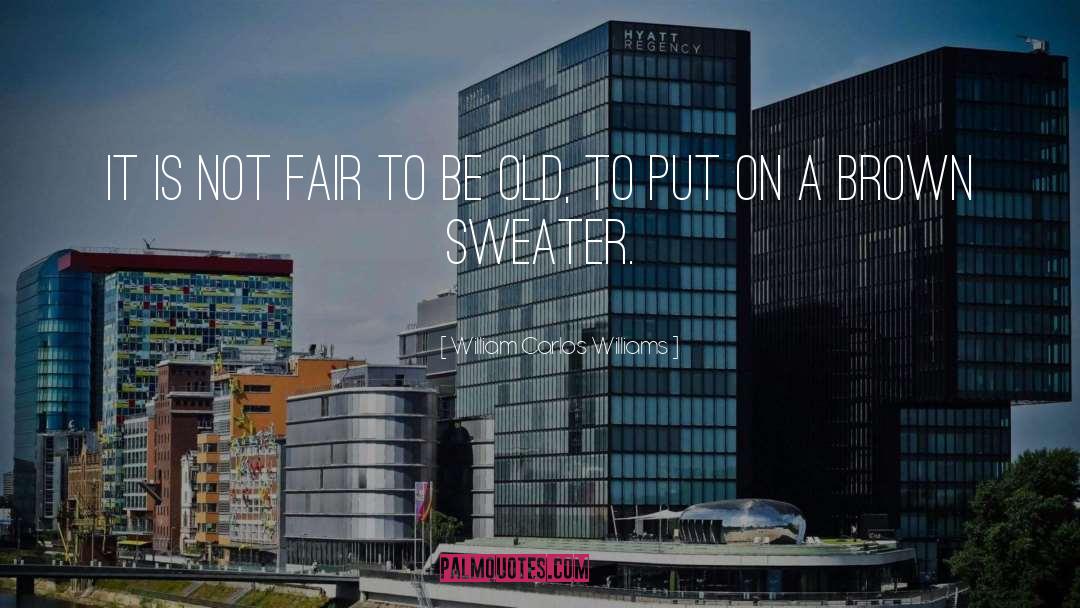 Sweater quotes by William Carlos Williams