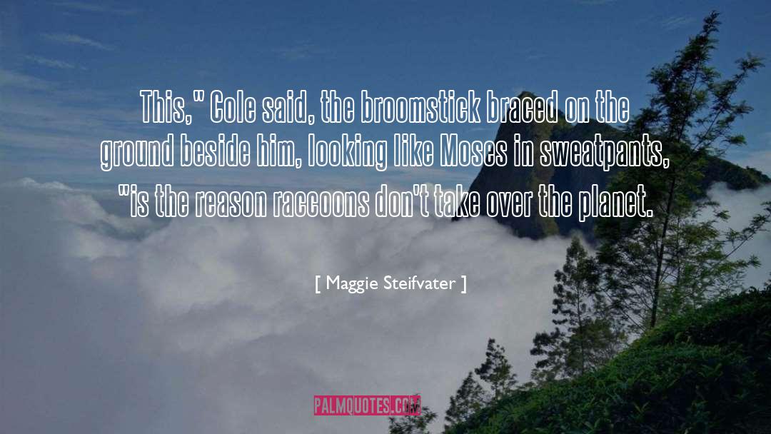 Sweatpants quotes by Maggie Steifvater