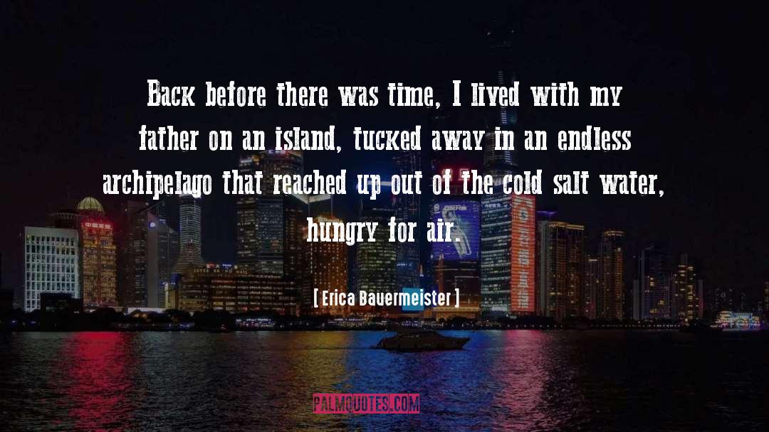 Swedish Island quotes by Erica Bauermeister