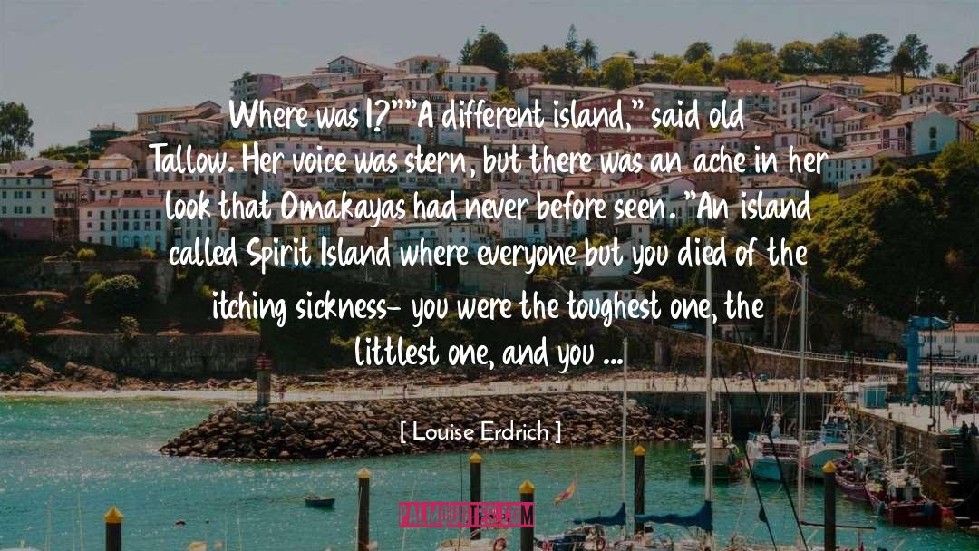Swedish Island quotes by Louise Erdrich