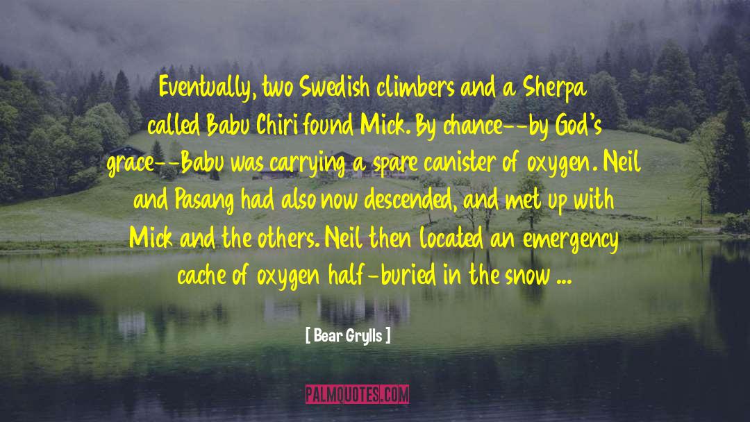 Swedish quotes by Bear Grylls