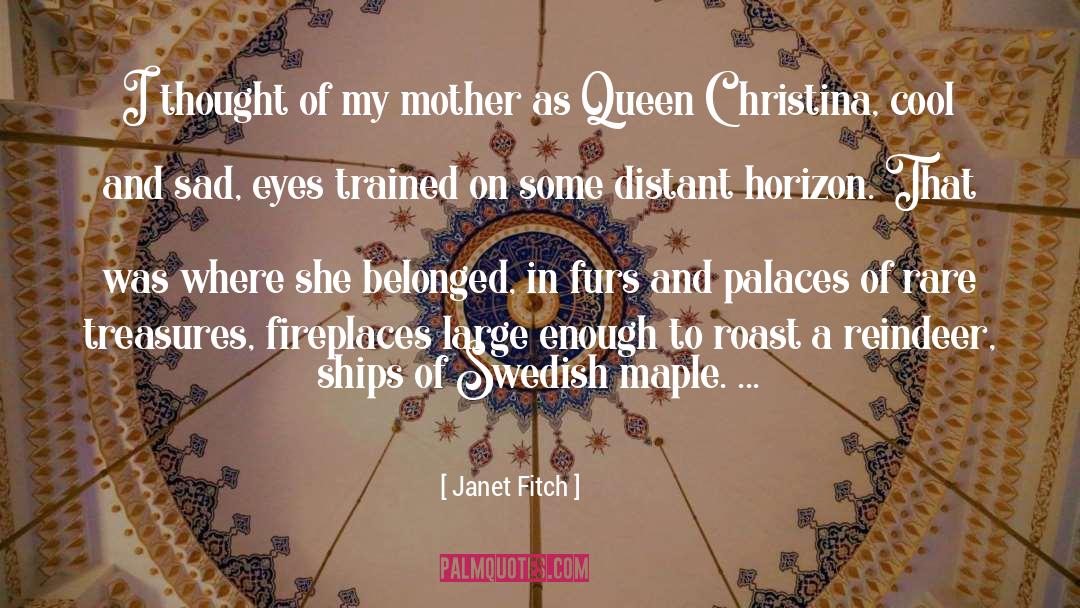 Swedish quotes by Janet Fitch