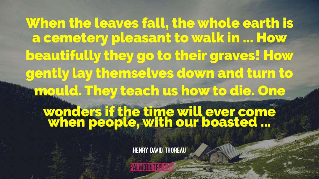 Swedish Summer quotes by Henry David Thoreau