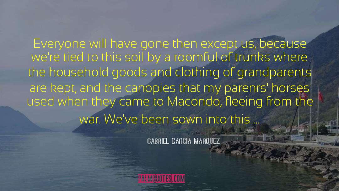 Sweep Away quotes by Gabriel Garcia Marquez