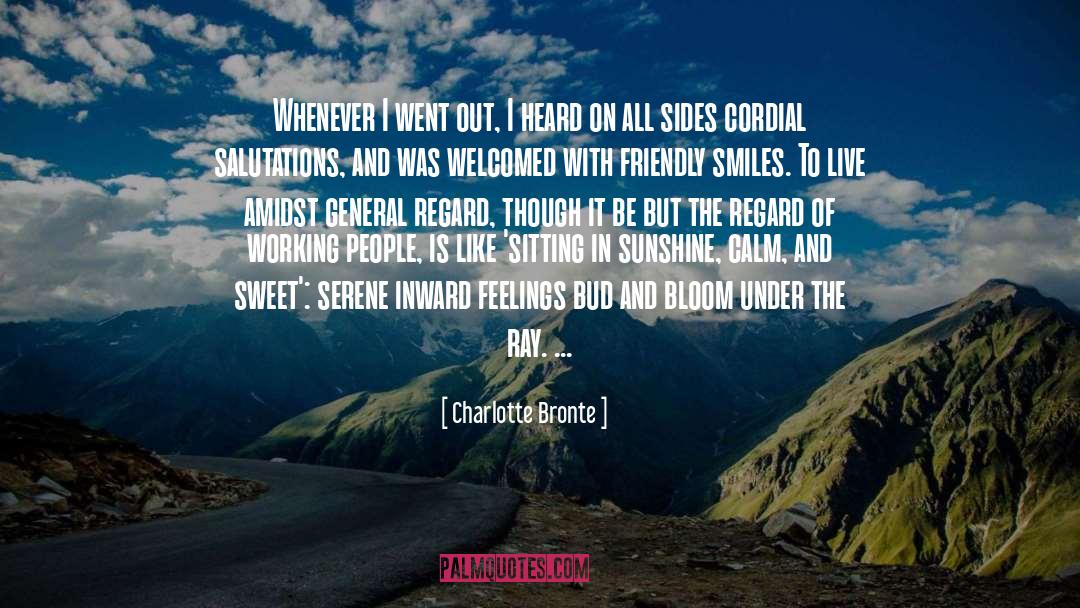 Sweet Irony quotes by Charlotte Bronte