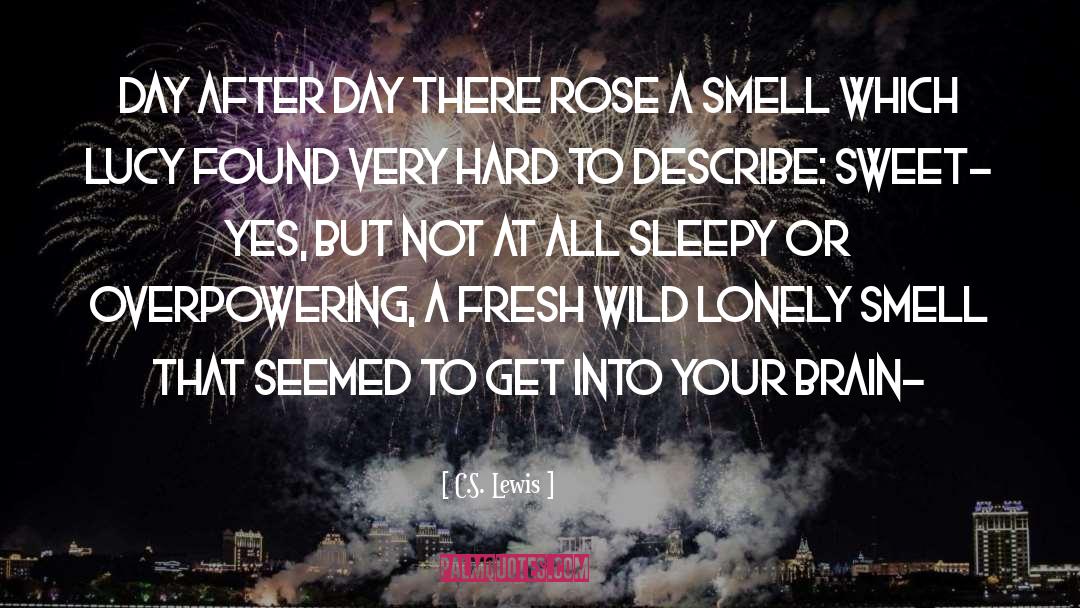 Sweet Lullaby quotes by C.S. Lewis