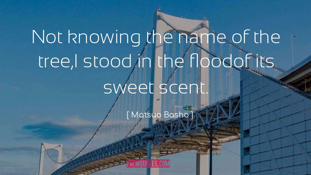 Sweet Place quotes by Matsuo Basho