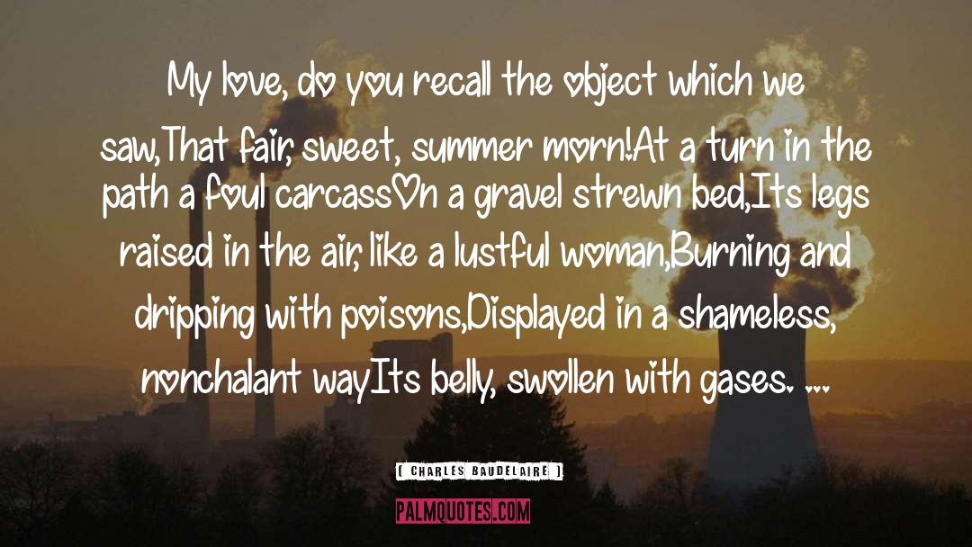 Sweet Summer quotes by Charles Baudelaire