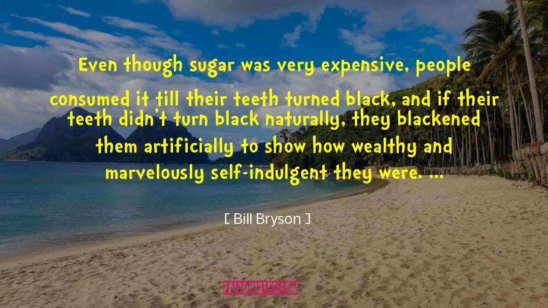 Sweet Tooth quotes by Bill Bryson