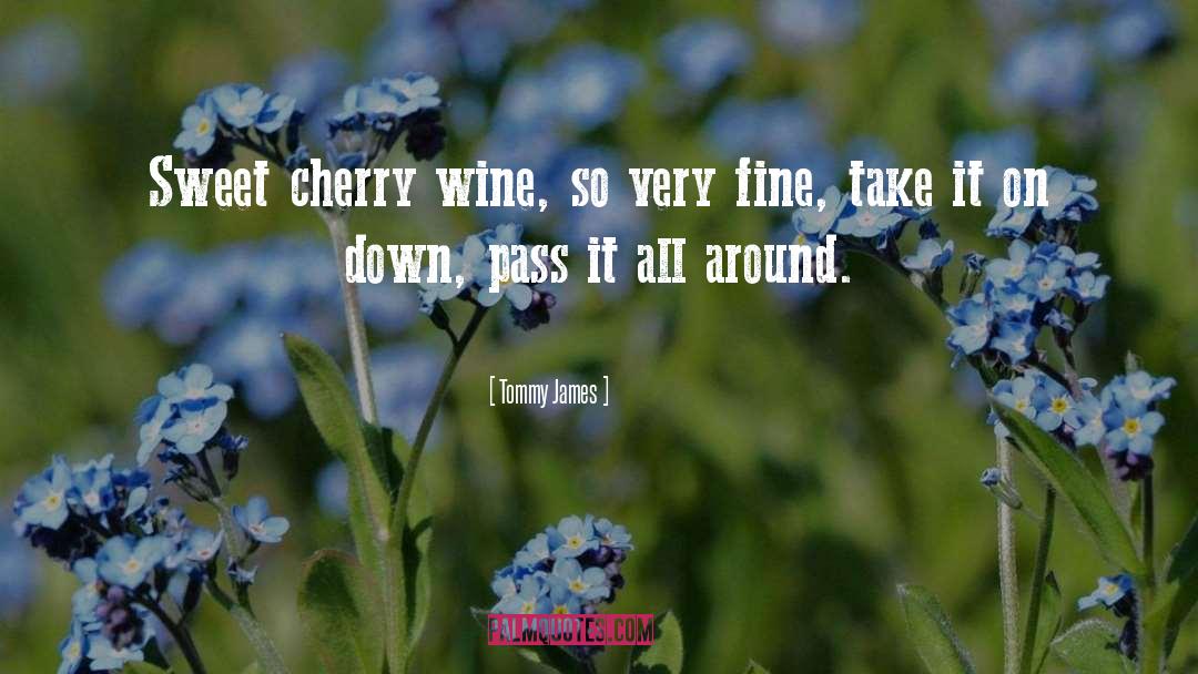 Sweet Wine quotes by Tommy James