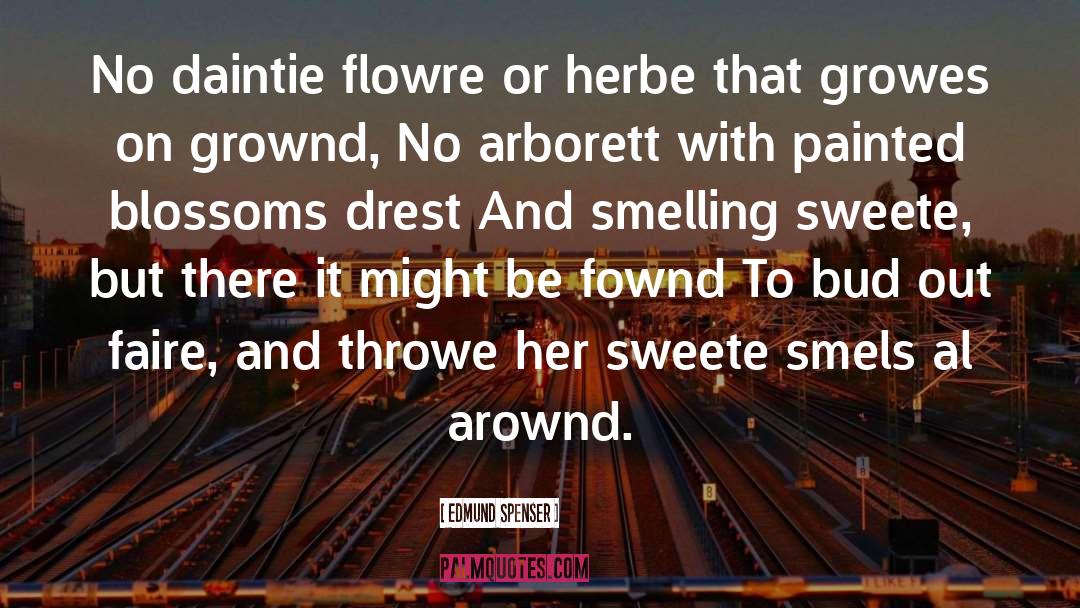 Sweete quotes by Edmund Spenser