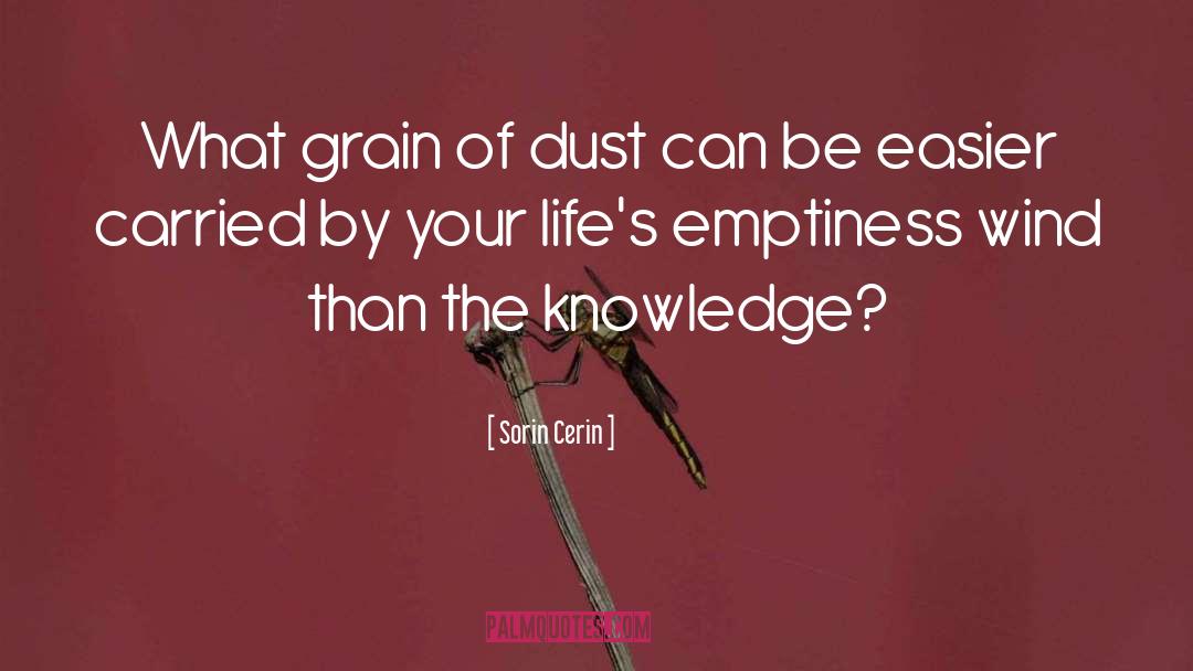 Sweeten Your Knowledge quotes by Sorin Cerin