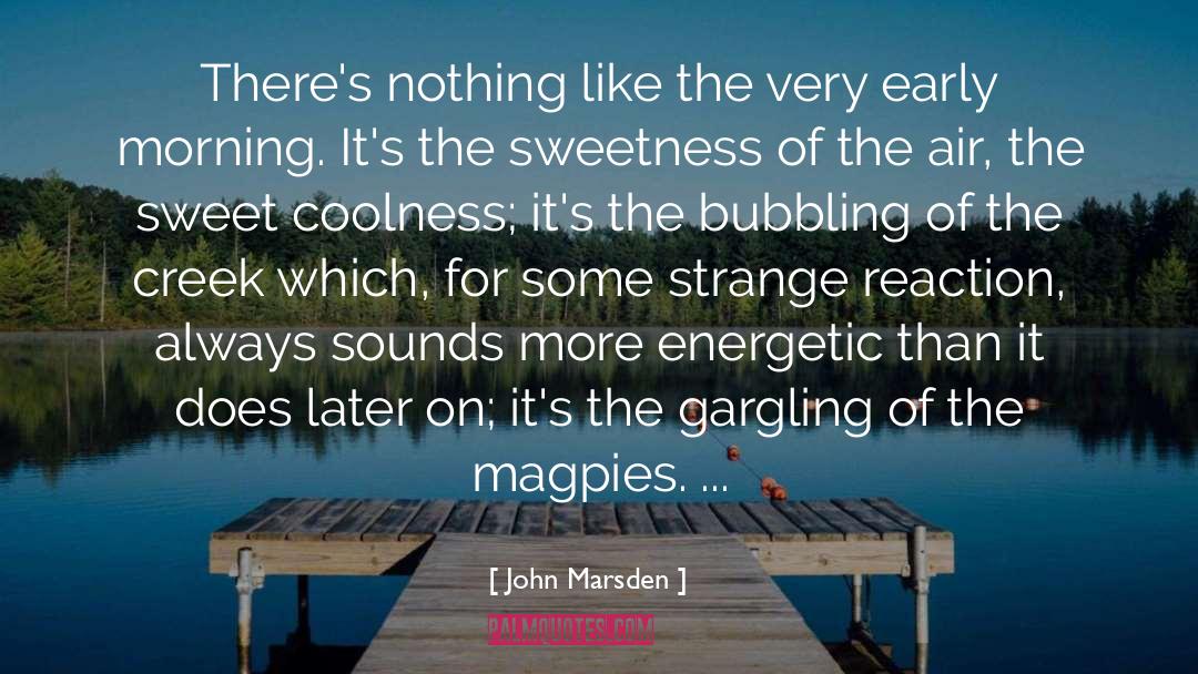 Sweetness quotes by John Marsden