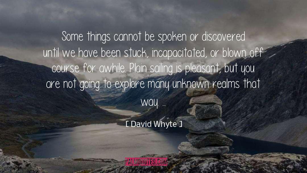 Swerved Off Course quotes by David Whyte