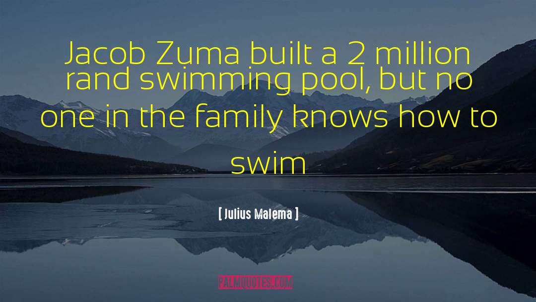 Swimming Pool quotes by Julius Malema