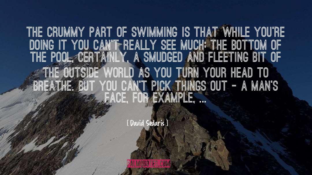 Swimming quotes by David Sedaris