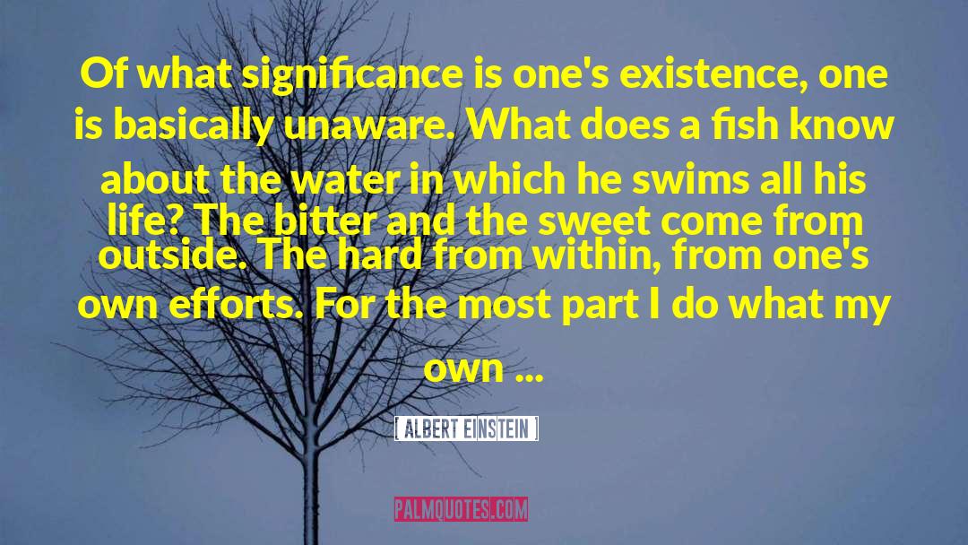 Swims quotes by Albert Einstein