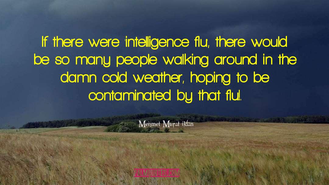 Swine Flu quotes by Mehmet Murat Ildan