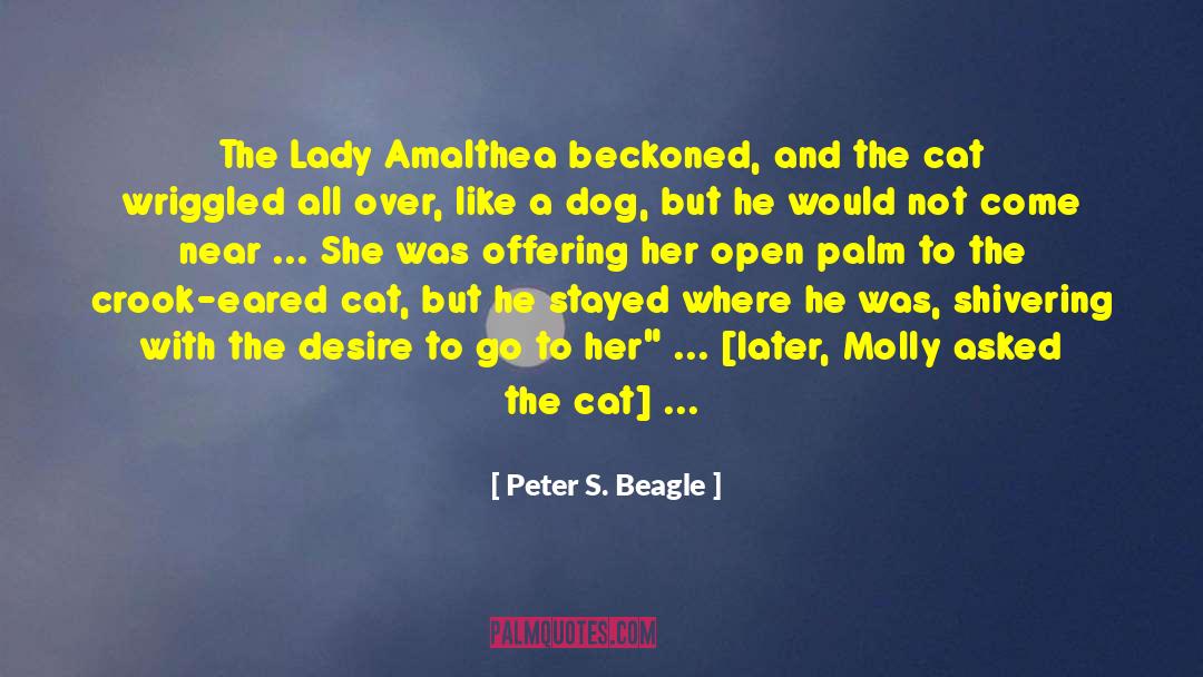 Swinging A Cat quotes by Peter S. Beagle