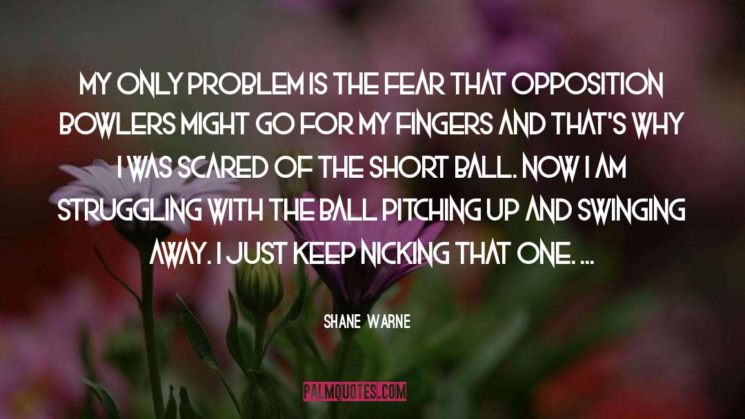 Swinging For The Fences quotes by Shane Warne