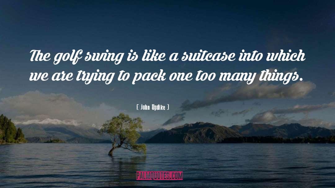 Swings quotes by John Updike