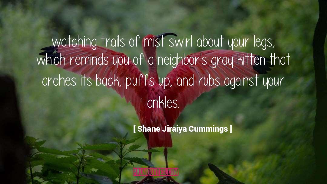 Swirl quotes by Shane Jiraiya Cummings