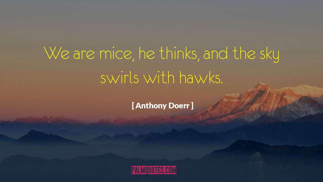 Swirls quotes by Anthony Doerr