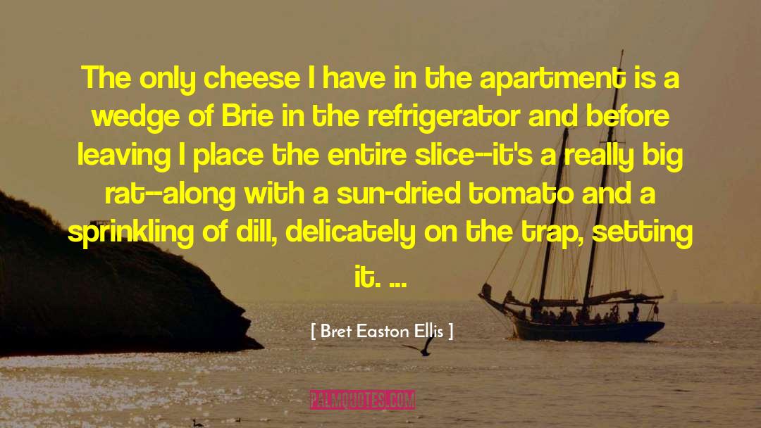 Swiss Cheese quotes by Bret Easton Ellis