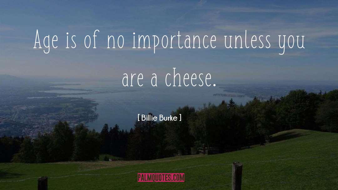 Swiss Cheese quotes by Billie Burke