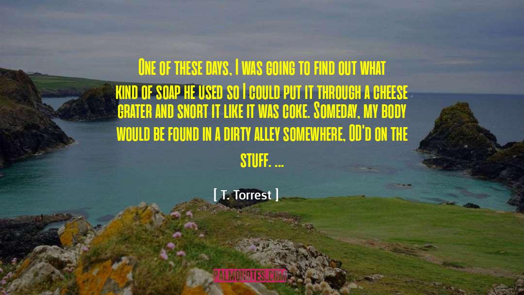 Swiss Cheese quotes by T. Torrest