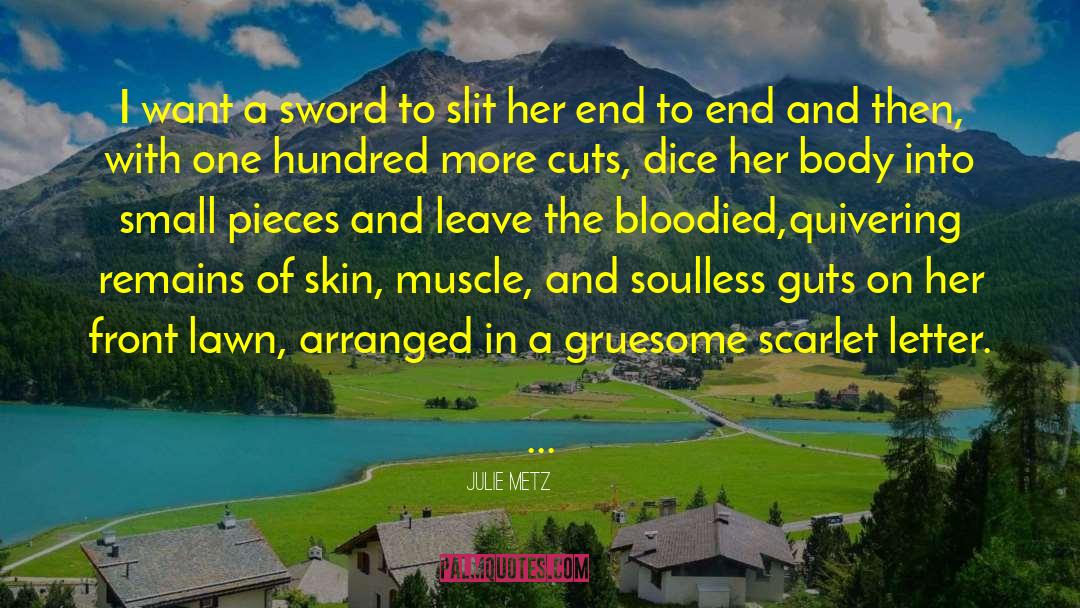 Sword Ad Sunset quotes by Julie Metz