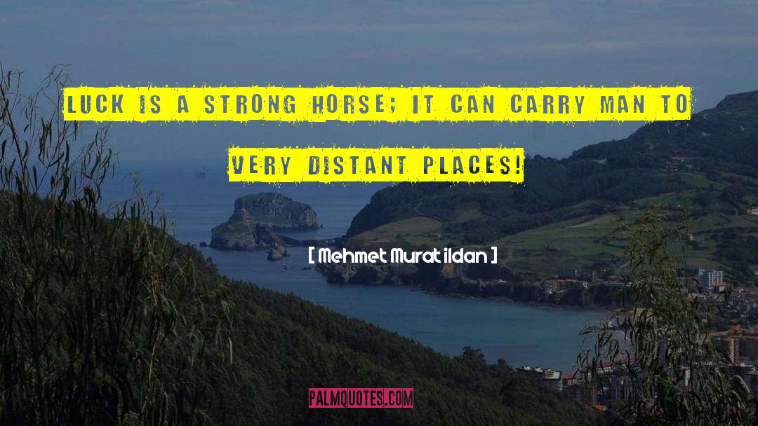 Sworded Horse quotes by Mehmet Murat Ildan