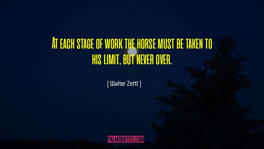 Sworded Horse quotes by Walter Zettl