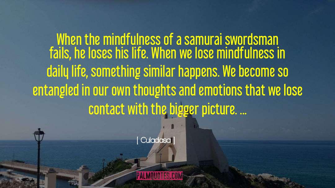 Swordsman quotes by Culadasa