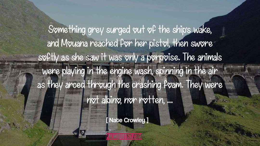 Swore quotes by Nate Crowley