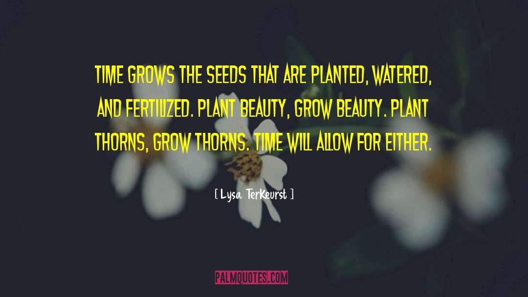 Sylvestris Plant quotes by Lysa TerKeurst