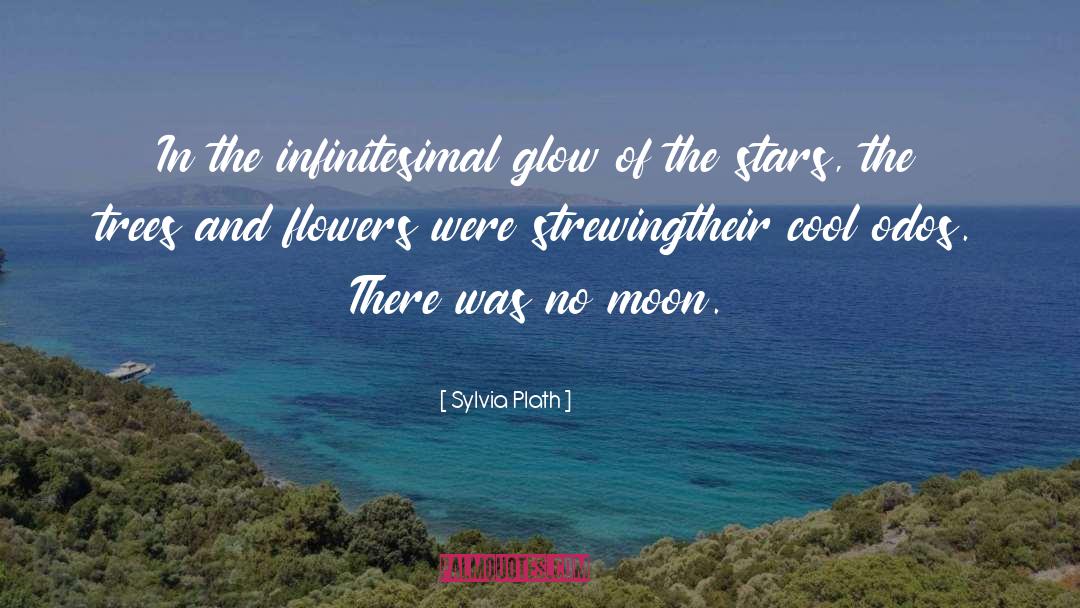 Sylvia Plath quotes by Sylvia Plath