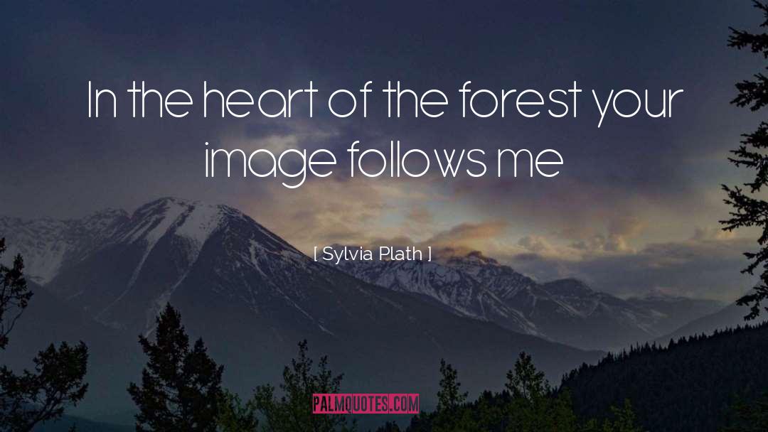 Sylvia Plath quotes by Sylvia Plath