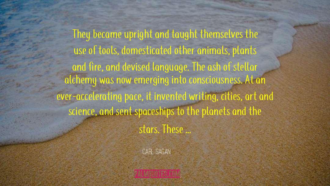 Symbolists Alchemy quotes by Carl Sagan