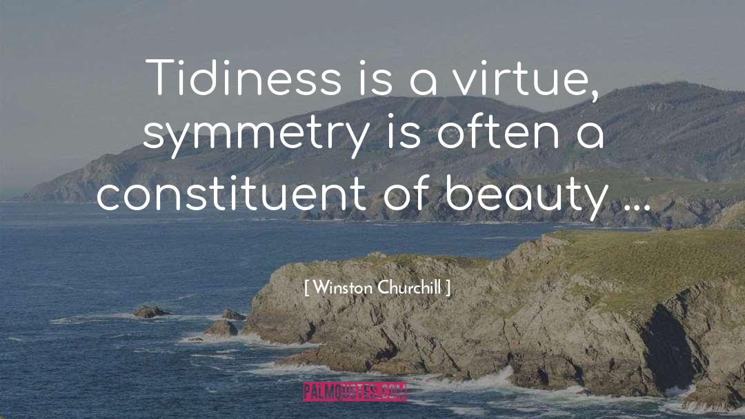 Symmetry quotes by Winston Churchill