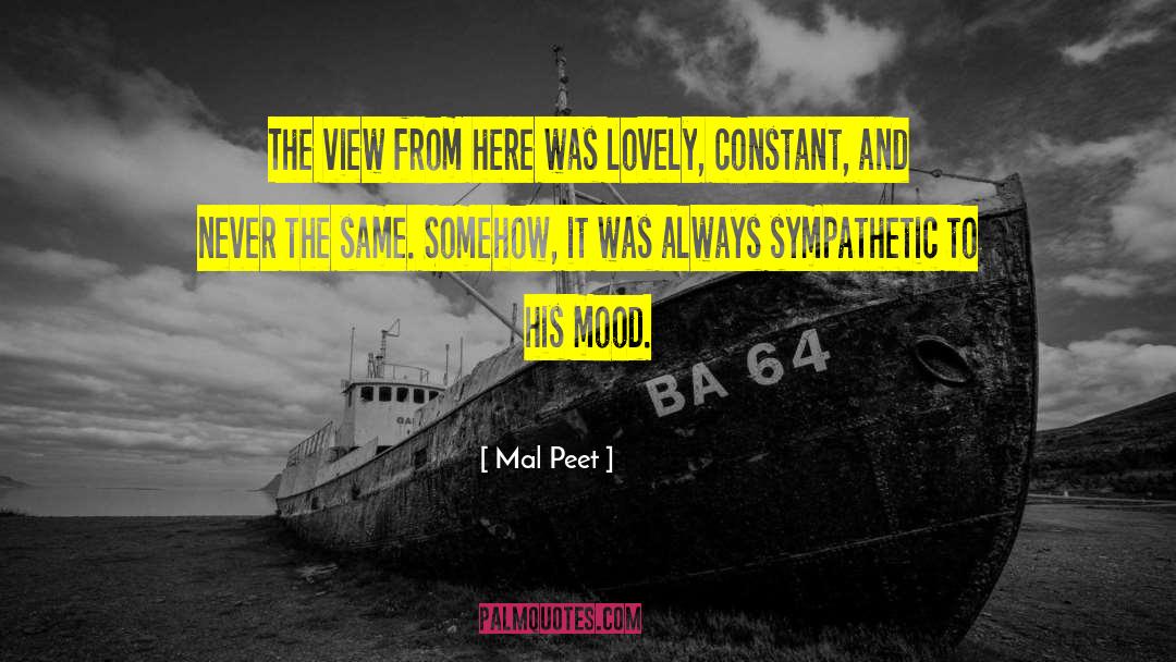 Sympathetic quotes by Mal Peet