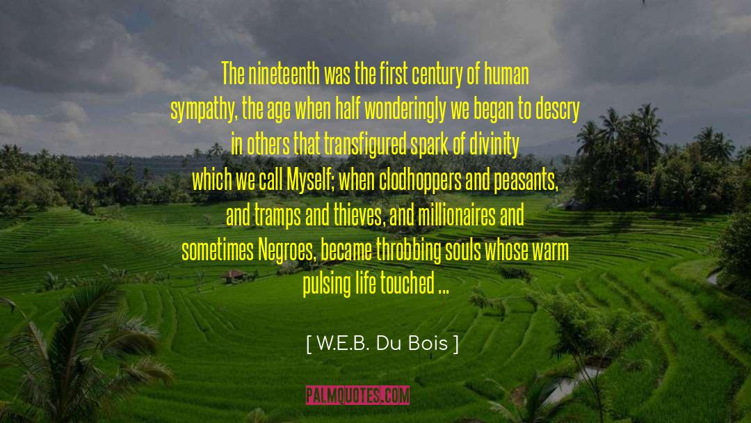 Sympathy Condolences quotes by W.E.B. Du Bois
