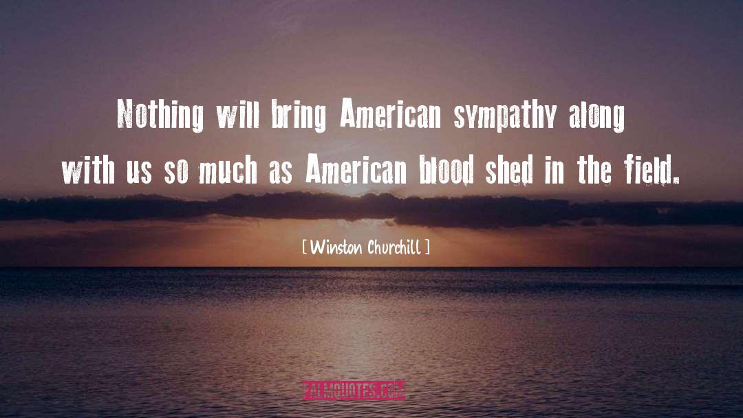 Sympathy quotes by Winston Churchill