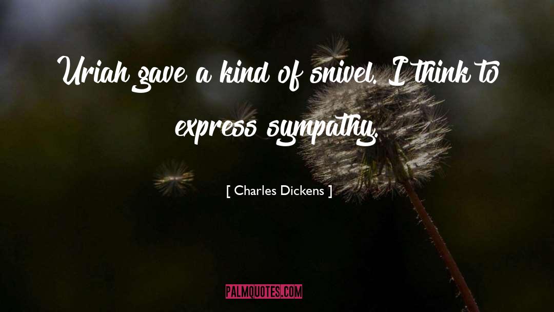 Sympathy Vs Empathy quotes by Charles Dickens