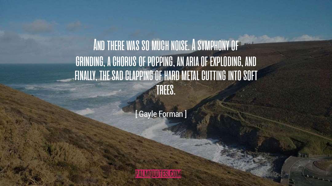 Symphony Orchestras quotes by Gayle Forman