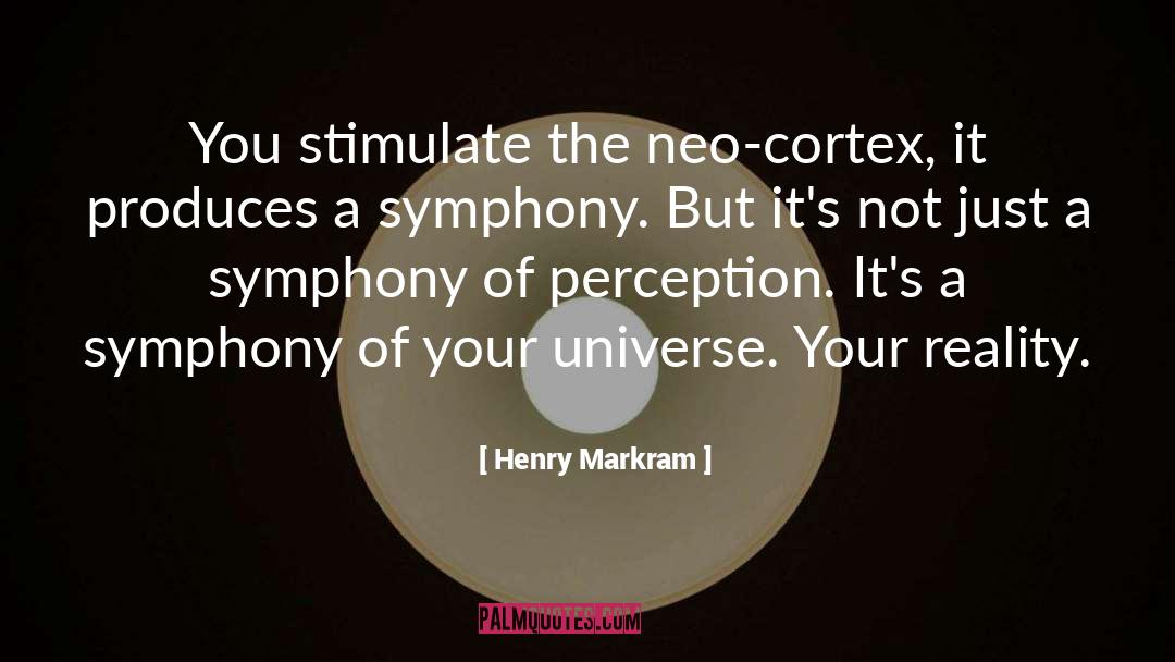 Symphony quotes by Henry Markram