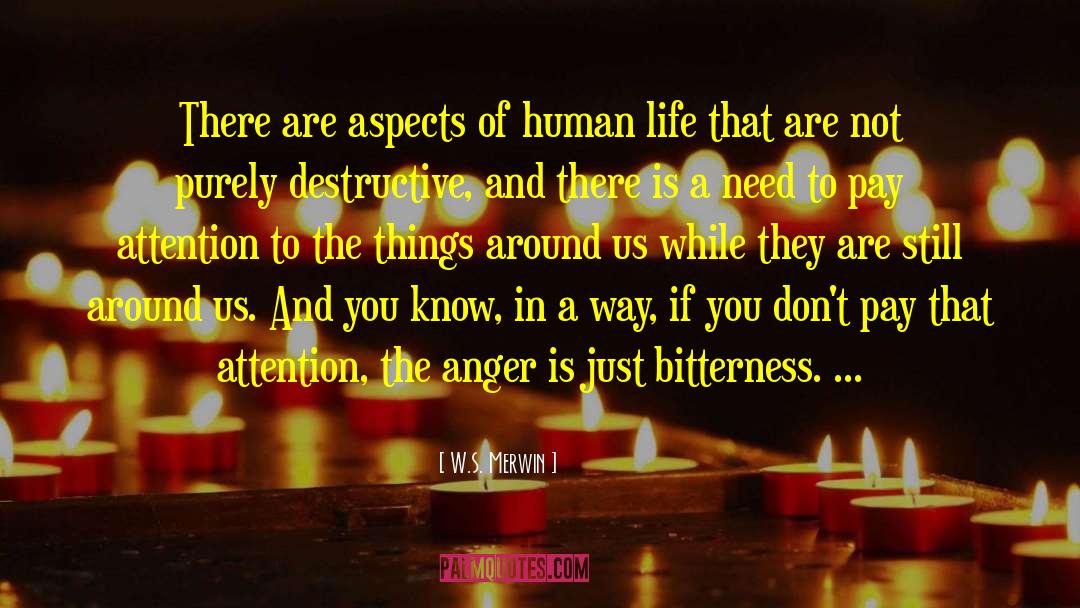 Symptoms Of Anger quotes by W.S. Merwin
