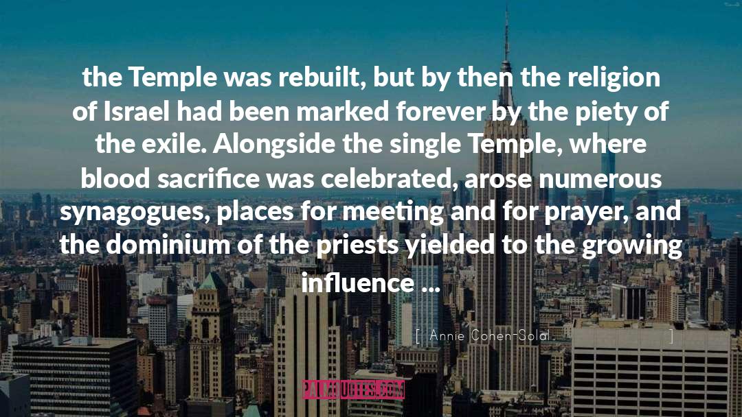 Synagogues quotes by Annie Cohen-Solal