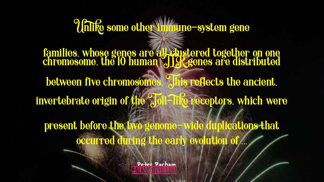 Synapsing Of Chromosomes quotes by Peter Parham