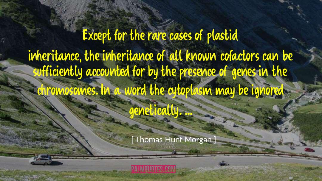 Synapsing Of Chromosomes quotes by Thomas Hunt Morgan